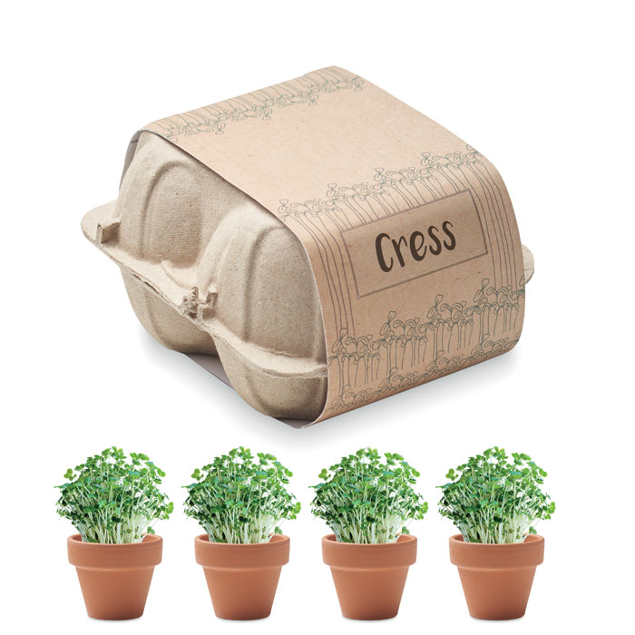 CRESS - Saat-Set Kresse