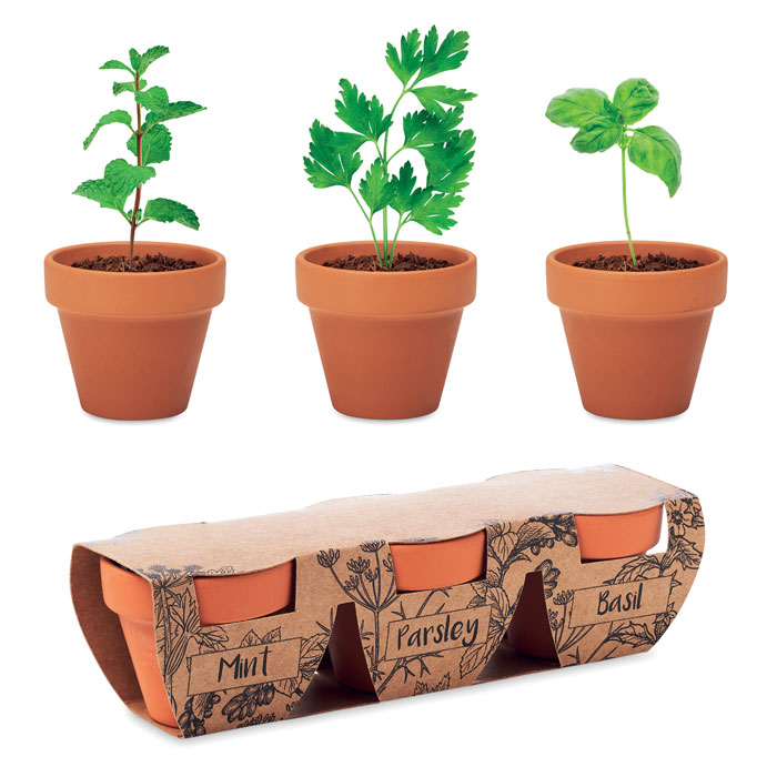 FLOWERPOT - Terracotta-Set Kräuter